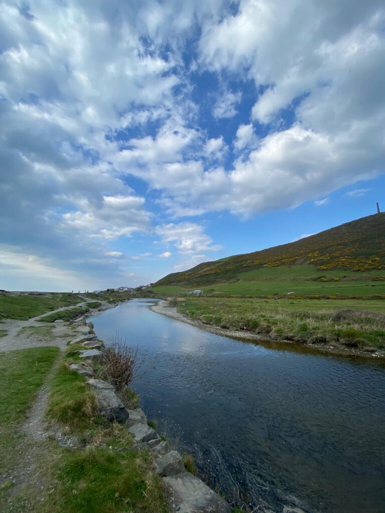 Afon Rheidol